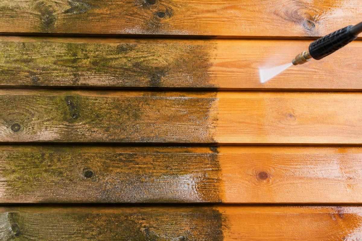 Cedar & Wood